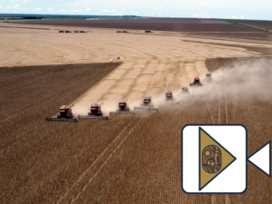 Vídeos Agricultura